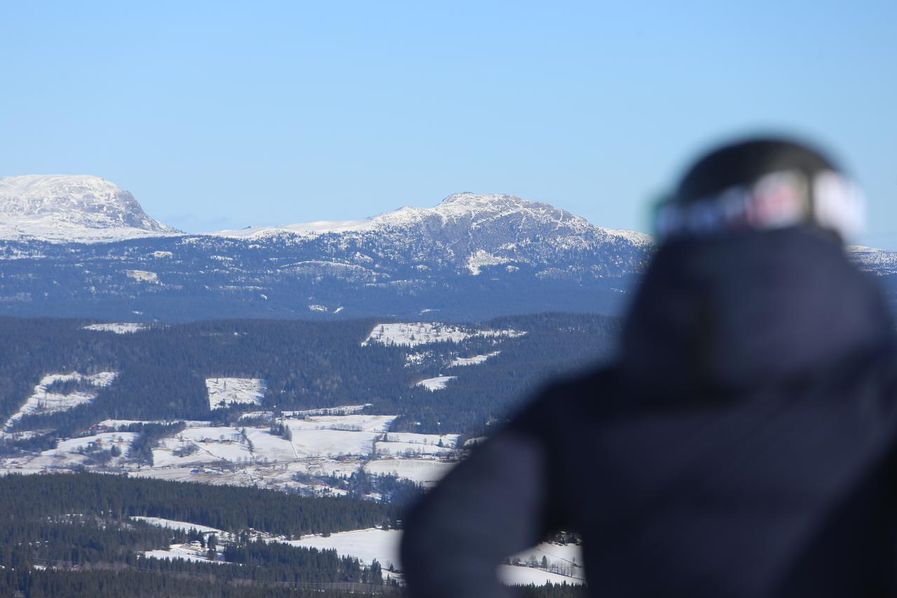 فندق Gomobu Fjellstue Ron المظهر الخارجي الصورة