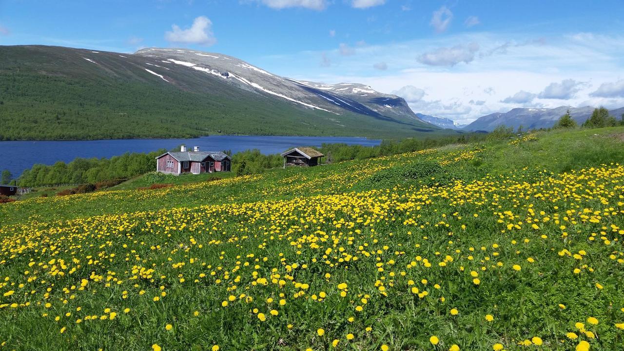 فندق Gomobu Fjellstue Ron المظهر الخارجي الصورة