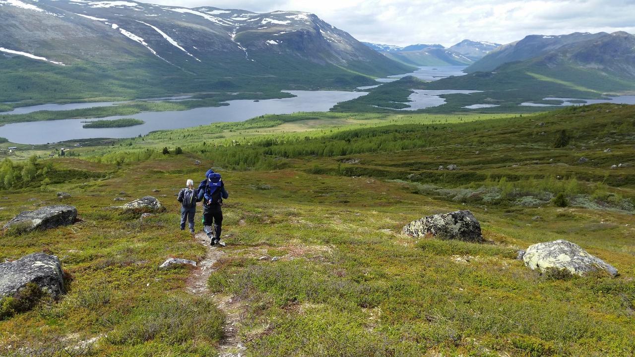 فندق Gomobu Fjellstue Ron المظهر الخارجي الصورة