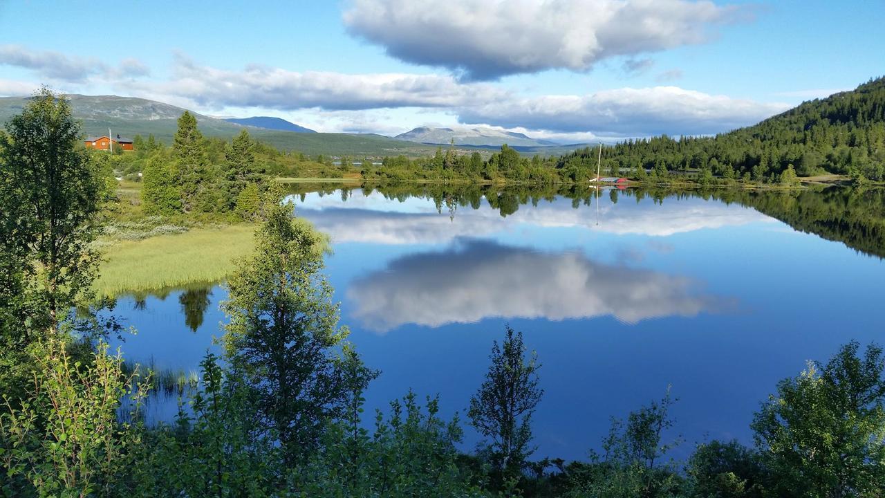 فندق Gomobu Fjellstue Ron المظهر الخارجي الصورة